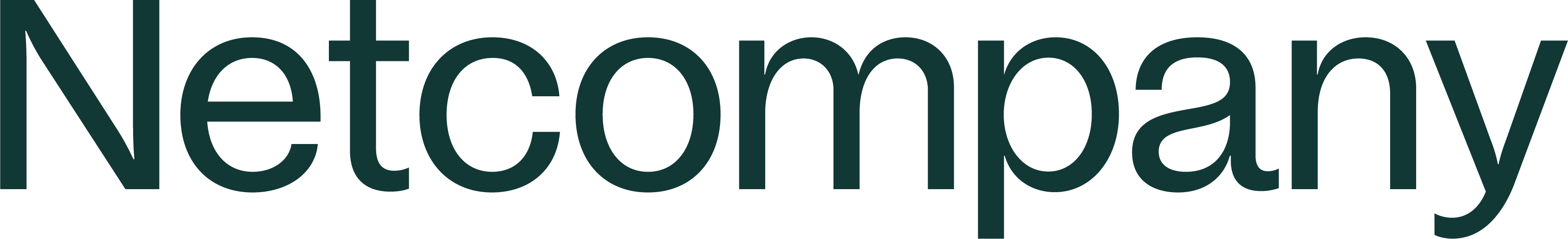 Standard sponsor Netcompany Logo